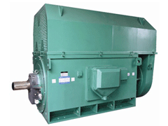 YJTFKK6304-4YKK系列高压电机